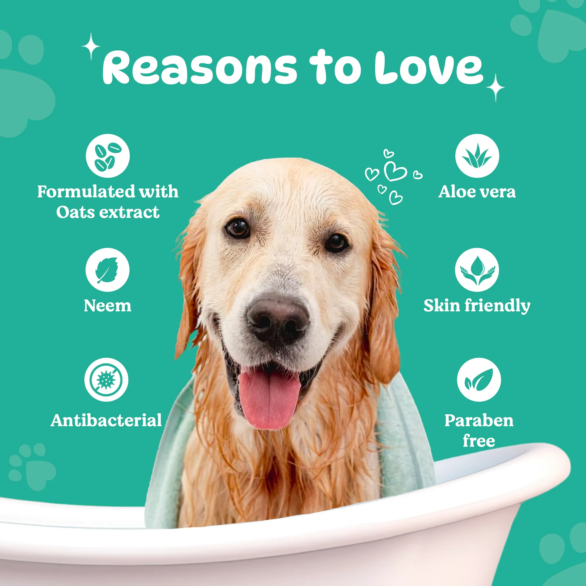 BASIL Anti-Dandruff Pet Shampoo, Herbal Anti-Itch Shampoo for Dogs and Puppies